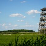 Powrót kolei do Jastrzębia-Zdroju: komunikat Międzyresortowego Zespołu ds. Kolei