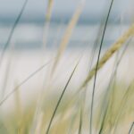 Oferta pracy: Specjalista ds. social media Odpisywanie na wiadomości Praca Zdalna (Chorzów)