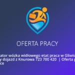 EKG 2024: wykorzystujemy jedynie 20 proc. środków z UE na zieloną transformację